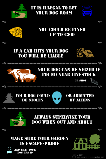The humans made me this good infographics to show you why you shouldn't let your doggie out alone. They're just kidding about the aliens - I hope!